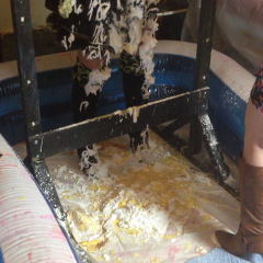 CandyCustard: Booted pirate Mypierogative pilloried and trashed!