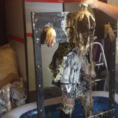 CandyCustard: Booted pirate Mypierogative pilloried and trashed!