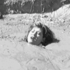 mudsprite: Found on the web.