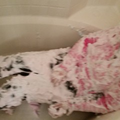 WetWillie: Alexis gets all foamy again before showering it all off