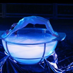 WSMProductions: Two stunning waterbowl balance and contortion acts--Wsm