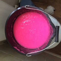Tongyandtori: First go with gunge