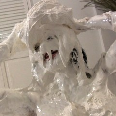 Messygirl: Pics from a New and Extreme Messygirl Download