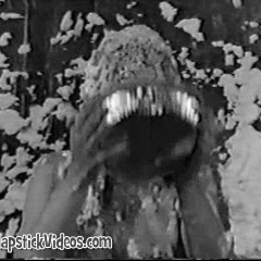 piemaster36: Fun in Black and White In 2016 or Maybe 1966