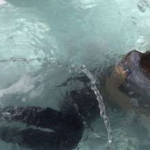 LisaMoomin: Alice in the hottub with a casual grey outfit.
