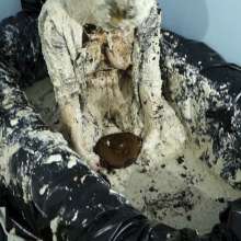 Stella: Stella continues trashing a dress with oatmeal and cake.