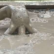 FOXY: Video fantastic with Leeloo in mud