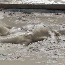 FOXY: Video fantastic with Leeloo in mud