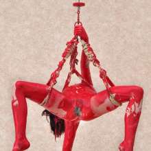 FOXY: suspended and painted