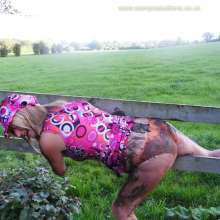 WSMProductions: Chocolate sauce from 1982 and 60's mud fun--wsm