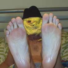 CustardFlanman: More custard pie pics