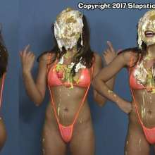 SlapstickStuff: Brin Leaves SlapstickStuff in style (and also minus a lot of clothes).