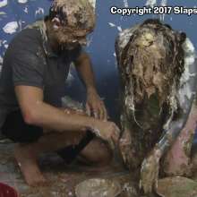 SlapstickStuff: Brin destroys the producer one last time!