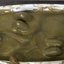 MostWam: Bobby& Corrine in a Bronze Gunge Bath [Braless]