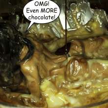 Bobographer: Emi's Birthday--Lemon Meringue and much more