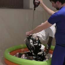 Gungeandlycraboy: Birthday gunging