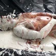 Stella: Stella has cake batter, jelly, syrup, and melted chocolate dumped over her.