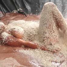 Stella: Stella has cake batter, jelly, syrup, and melted chocolate dumped over her.