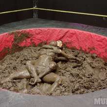 wamfan: Mud Wrestling Video: Pinned in Mud