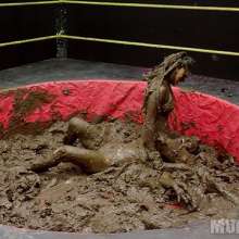wamfan: Mud Wrestling Video: Pinned in Mud
