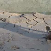 thinkhard: Mud spots near Charlotte, NC?