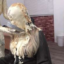 MostWam: Pie Training For Cassie