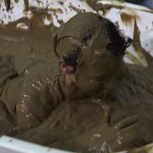 MostWam: Danielle's Casual Mud Bath