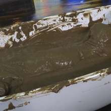 MostWam: Danielle's Casual Mud Bath