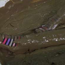MostWam: Danielle's Casual Mud Bath