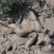 DungeonMasterOne: Langstonedale: Maude and Felicity throw each other into the mud!