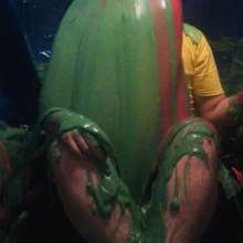 GungingmadRugby: gyob gunge tank.