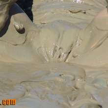 FOXY: Video mud with Misty