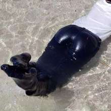 Wetlook-Niro: More Custom videos uploaded