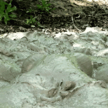 DuncanEdwards: Fan gifs--Nyssa Nevers in Deep Clay