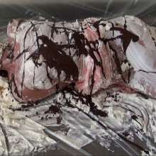 RevSlymsford: Hogtied, Gagged and Pied 2: Jayce totally destroyed by Ariel