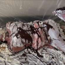 RevSlymsford: Hogtied, Gagged and Pied 2: Jayce totally destroyed by Ariel