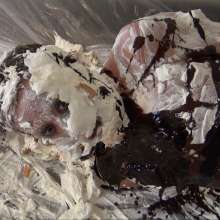 RevSlymsford: Hogtied, Gagged and Pied 2: Jayce totally destroyed by Ariel