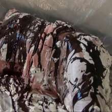 RevSlymsford: Hogtied, Gagged and Pied 2: Jayce totally destroyed by Ariel