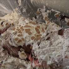 RevSlymsford: Hogtied, Gagged and Pied 2: Jayce totally destroyed by Ariel