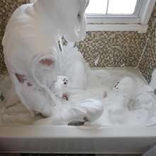 Stella: Stella gives her sub a blowjob and fucks in in fluffy white slime.