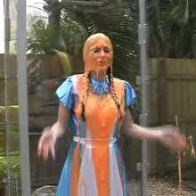 wamtec: Alice in GungeLand