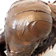 Kaydens: Devoured by Brownie Batter