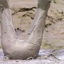 FOXY: Muddy encasement 2