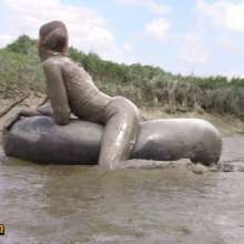FOXY: Muddy encasement 2