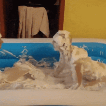 Itsthatguyyouare: 