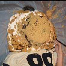 Dr.Pies: 