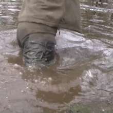 WetandMuddy: Video 49--Out for a Duck