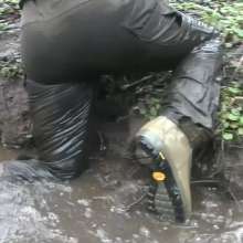 WetandMuddy: Video 49--Out for a Duck