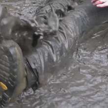 WetandMuddy: Video 49--Out for a Duck