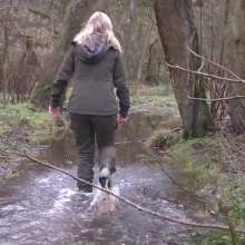 WetandMuddy: Video 49--Out for a Duck